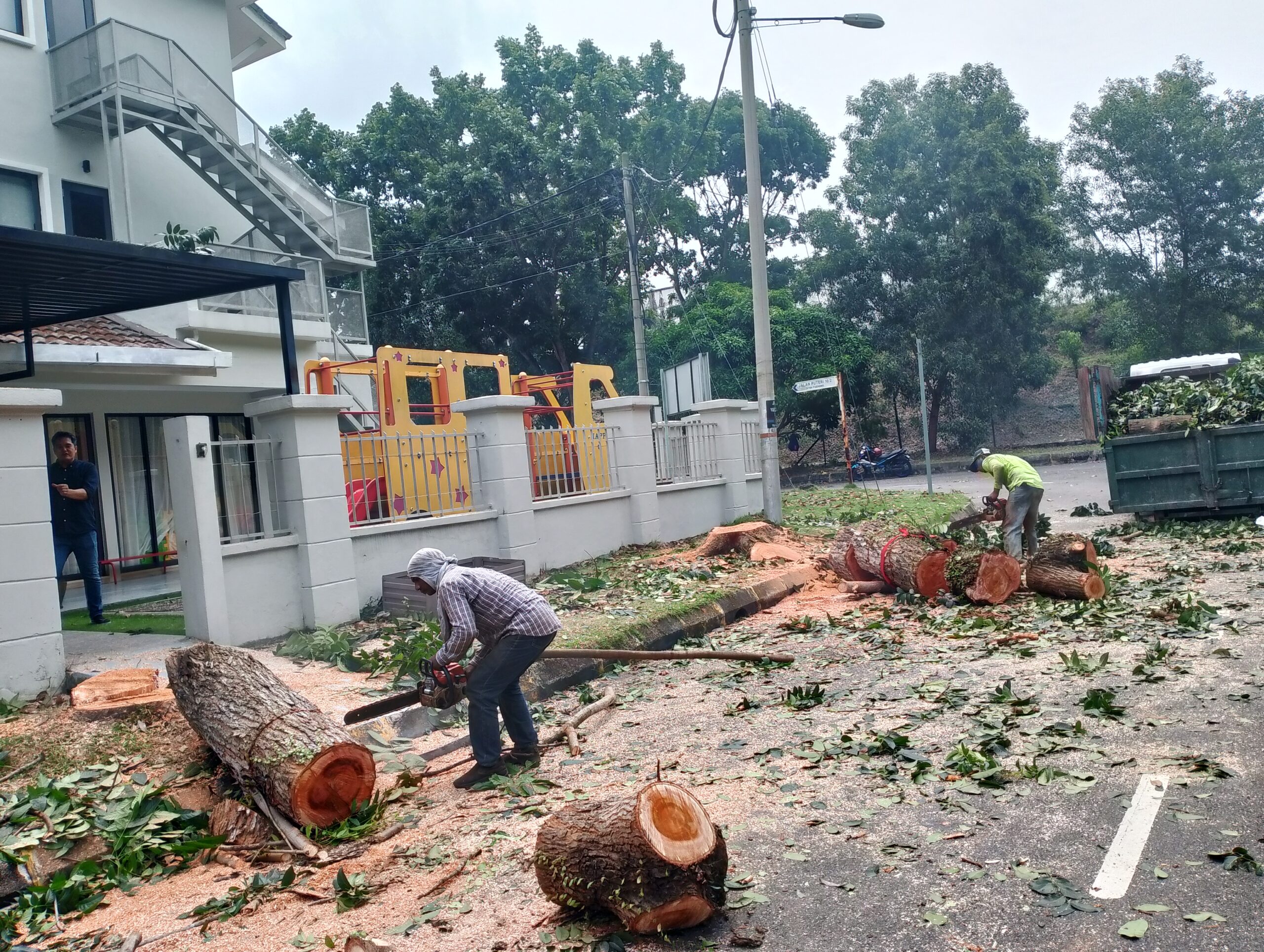 Best Tree Cutting Company in Malaysia: How to Choose the Right Tree Service Provider